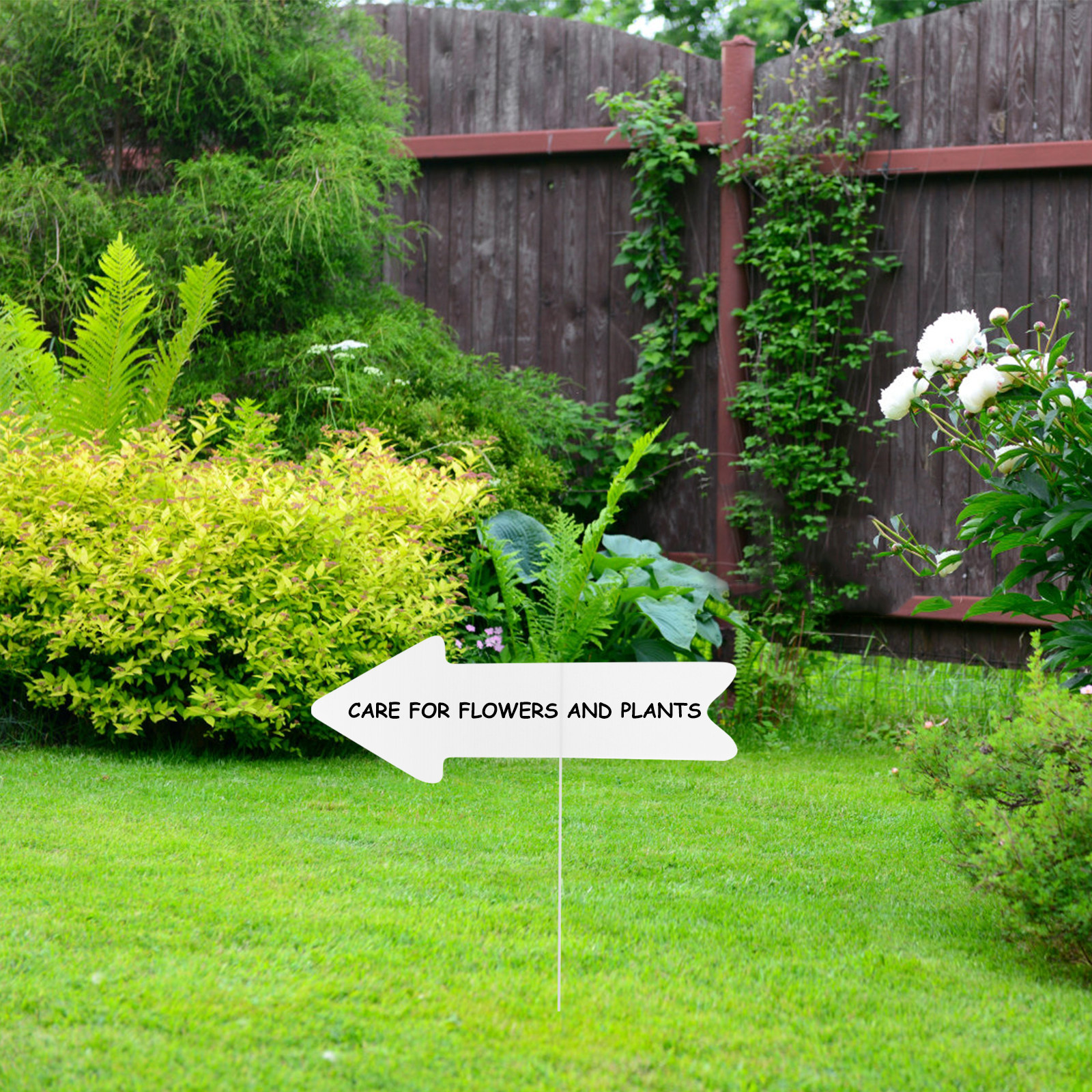 5Pcs Plastic Blank Yard Signs  - Yard Sign Blank บทวิจารณ์และราคา
